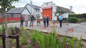 Ireland's first public Rain Garden created in Ferbane
