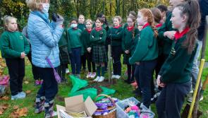 'Putting  Down Roots' in Tullamore