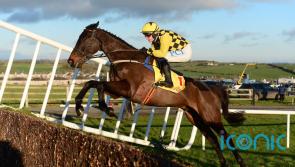 Willie Mullins star likely to begin Cheltenham trail at Tramore again