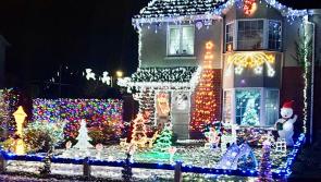 Roscrea family spread Christmas cheer to support charity!