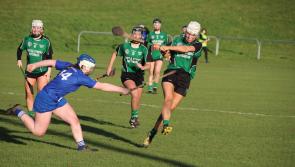 End of the road for brave Naomh Brid in Leinster Championship