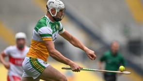 Offaly star named Christy Ring player of the year as four make champion selection