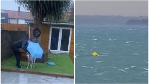 'Swimming wheelie bins' - Irish people are not disappointing with their Twitter reactions to Storm Barra