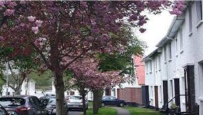 Architect who designed Offaly workers' village to be celebrated
