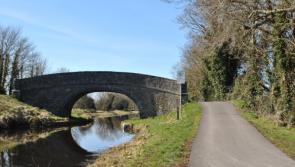 Plan to create cycle/walking route from Pullough to Lough Boora