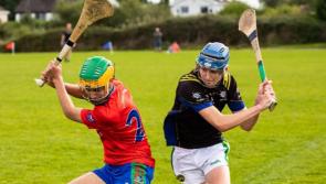 Offaly school pip Laois neighbours to qualify for knockout senior hurling