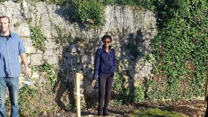 'Putting Down Roots' in Tullamore
