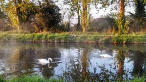 Over €1m allocated to Grand Canal Greenways in Offaly