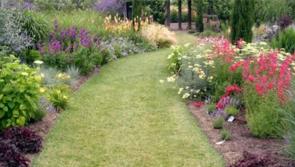 Sensory gardens funding for people with disabilities in Offaly announced