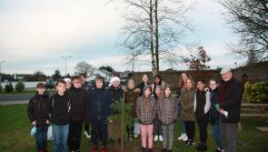 Christmas came early to Sacred Heart NS Roscrea