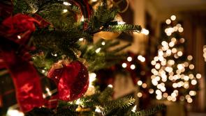 ALERT: Odd warning over Christmas decorations that could slow down your internet
