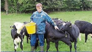 Offaly farmers encouraged to go on matchmaking tour to Ukraine to find love