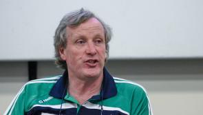 Offaly man appointed to big GAA handball role