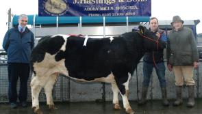 Central Auctions 58th Annual Fat Stock Show and Sale 2022