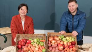 Dublin's Philly McMahon teams up with Tesco to provide fruit and veg packs for Offaly schools