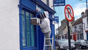 Local beekeeper helps to remove swarm of bees from Offaly street