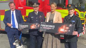 Gardai to crack down on illegal fireworks in run up to Halloween as searches to be stepped up at border
