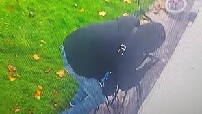 WATCH: Daylight robbery in Offaly