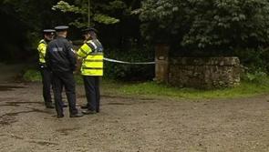 Man accused of murder in woods near Offaly refuses to attend trial