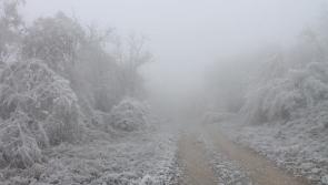 Ireland braced for Arctic conditions and a windchill of -6C in the coming days