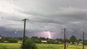 Lightning strike kills cattle on Offaly farm 
