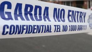 Three men killed in N7 car and truck crash 