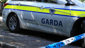 BREAKING: Young woman dies following dog attack in Limerick