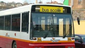 Lowry welcomes review of ‘shambolic’ school transport scheme