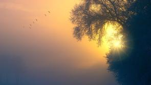IRELAND WEATHER: Latest Met Eireann weather forecast for Ireland for the coming weekend