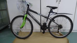 Gardai investigating murder of Ashling Murphy issue renewed appeal for information on bike