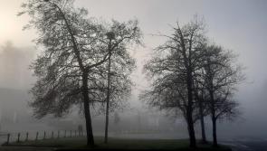 The Winds of Change and Our Wellbeing - Emma Coonan