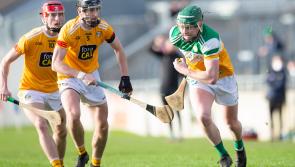 Offaly team announced for Sunday's Walsh Cup clash with Dublin 