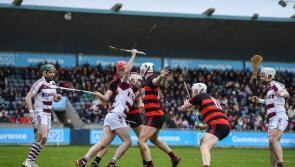 Former Offaly hurler helps Ballygunner to club All-Ireland final 