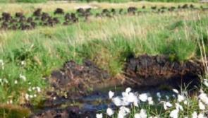 Request to reconsider peat phase-out date dismissed reveals Offaly TD