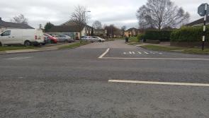Offaly man charged in relation to broad daylight hatchet attack on car and house
