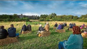 Large allocation for Creative Ireland local authority projects in Offaly