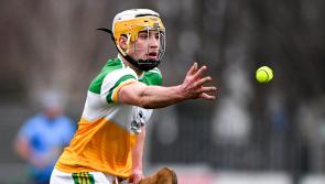 LEAGUE PREVIEW: Performances the target as Offaly hurlers take big step up
