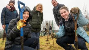 Ballyboy NS to get outdoor based forest classroom