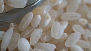 WARNING: Rice products at popular Irish supermarkets recalled due to possible presence of insects