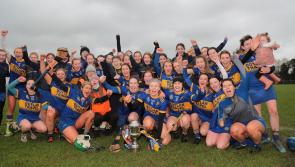 IN PICTURES: St Rynagh's claim another Leinster title with impressive win