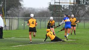 Impressive St Rynagh's retain Leinster title for four in a row
