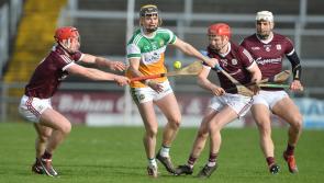 Cork next up as Offaly face up to harsh reality of top flight hurling