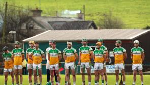 Offaly given tough lesson by flying Cork