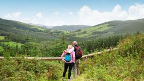 Exciting and informative Offaly Tourism Webinar
