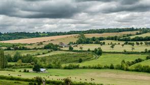 Hedge cutting restrictions come into force next month