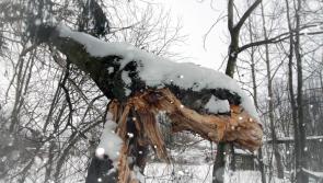 STORM EUNICE: Blizzard like conditions forecast and Red Weather Warning issued by Met Eireann as Storm Eunice bears down on Ireland