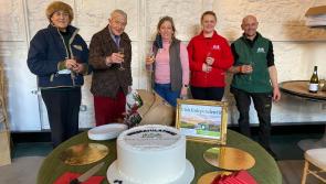 Birr Castle Demesne named in top tourist attractions in Ireland