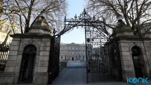 Offaly native and TD leaves Sinn Fein claiming she was victim of ‘psychological warfare’
