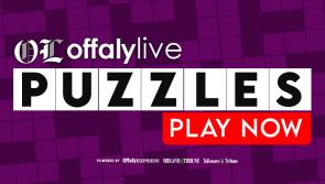 Offaly Live Interactive Puzzles