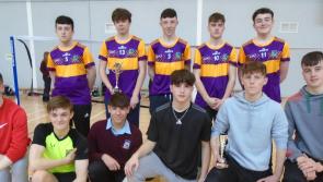 Birr and Clara teams win Offaly U-16 badminton blitz

